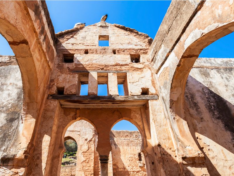 Rabat to Marrakech with Rabat Discovery