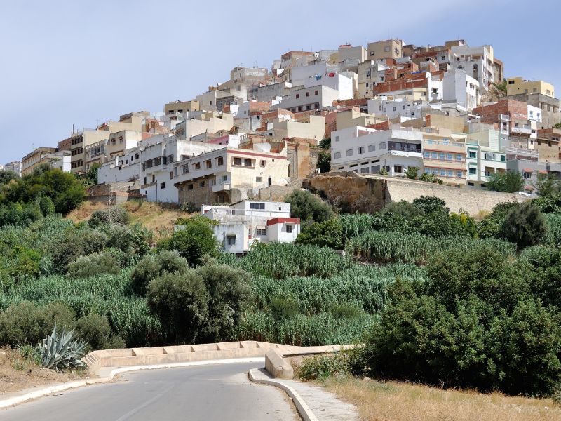 Overland - Roman Ruins, Moulay Idriss & Wine