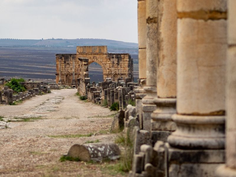 Overland - Roman Ruins, Moulay Idriss & Wine