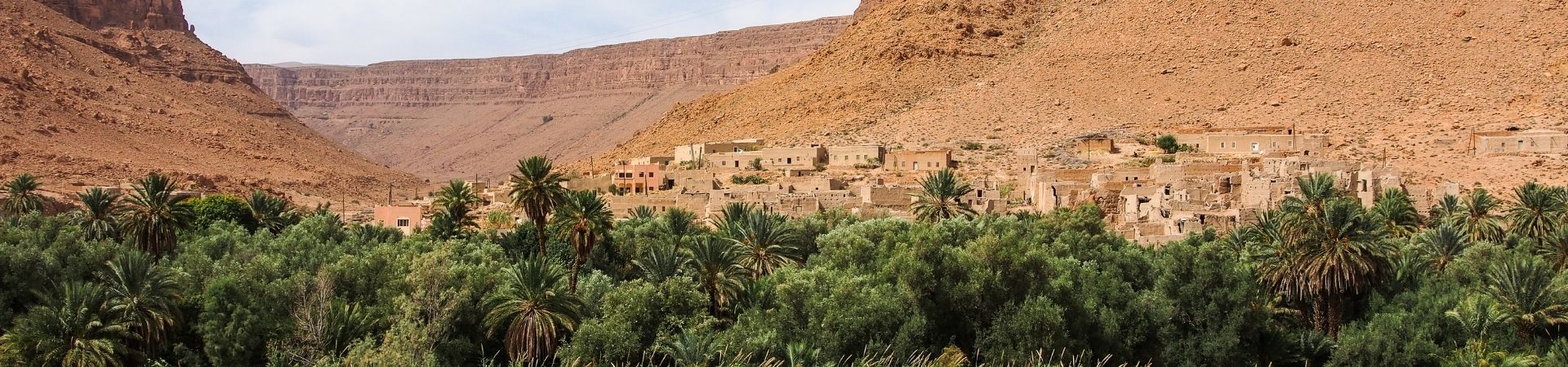 Image of Sahara Uncovered