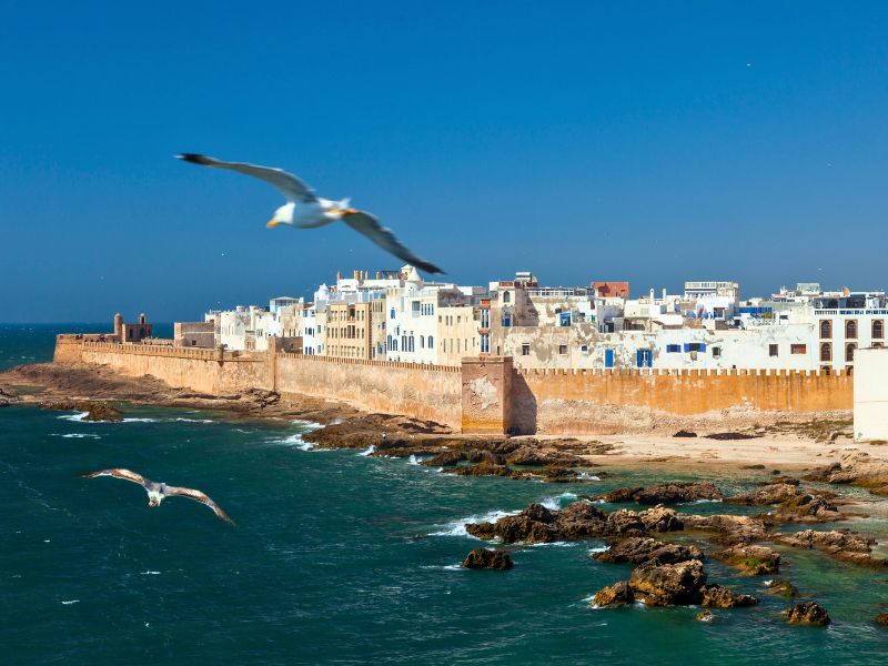 Overland - Marrakech to Essaouira: Social Impact Journey