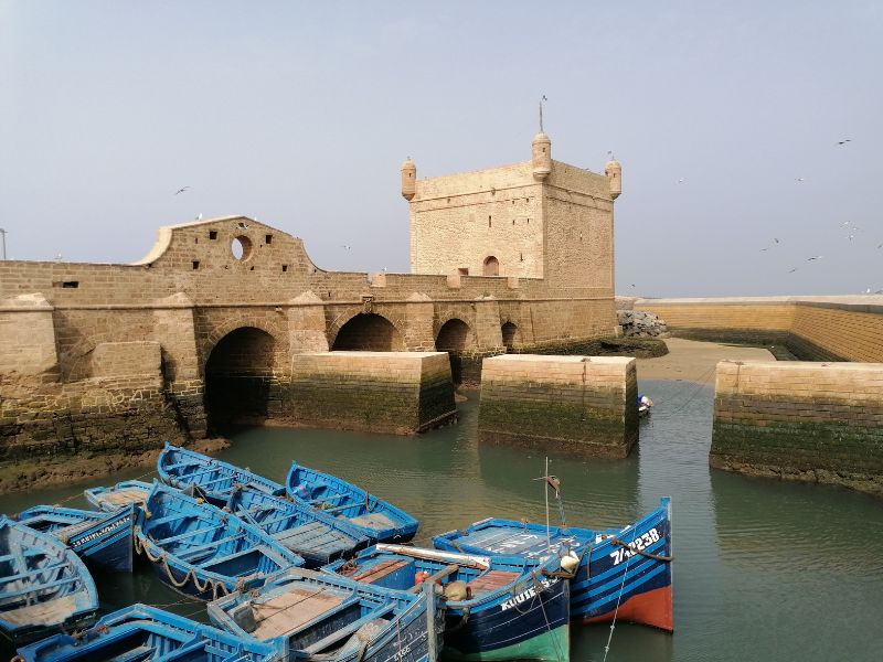 Overland - Marrakech to Essaouira: Social Impact Journey