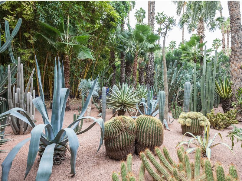 Standalone - Sunrise Balloon & the New City