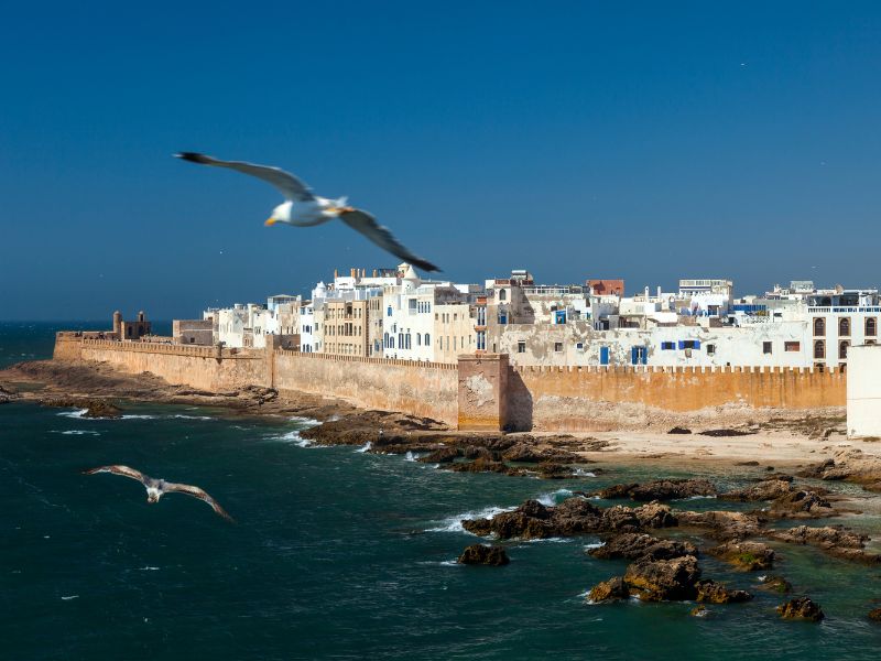 Overland - Surf & Explore Essaouira