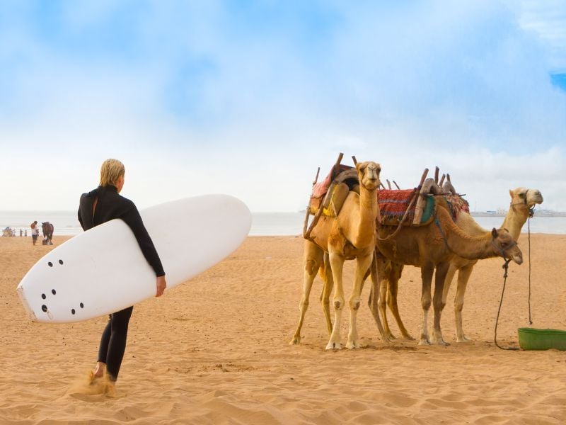 Overland - Surf & Explore Essaouira