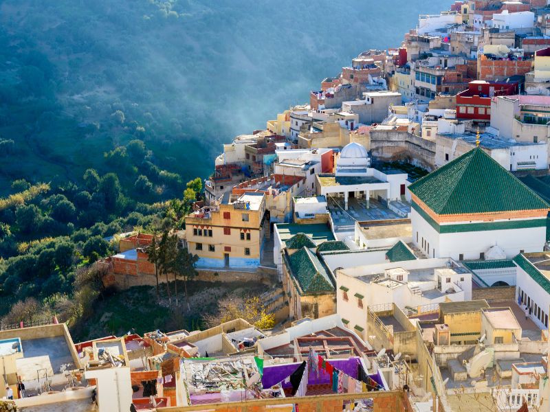 Overland - Volubilis & Moulay Idriss Insight