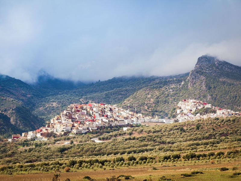 Overland - Volubilis & Moulay Idriss Insight