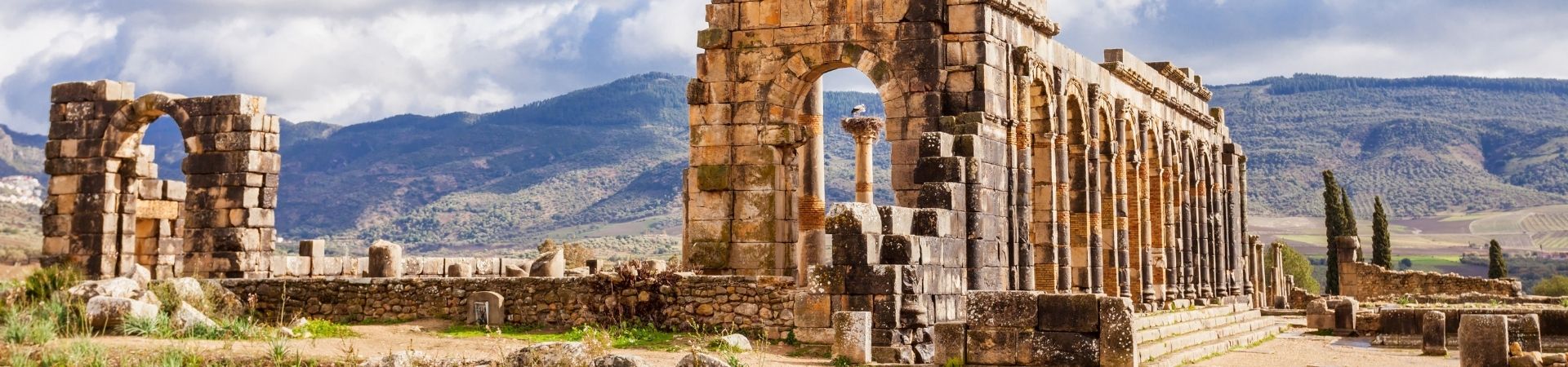 Image of Overland - Volubilis & Moulay Idriss Insight
