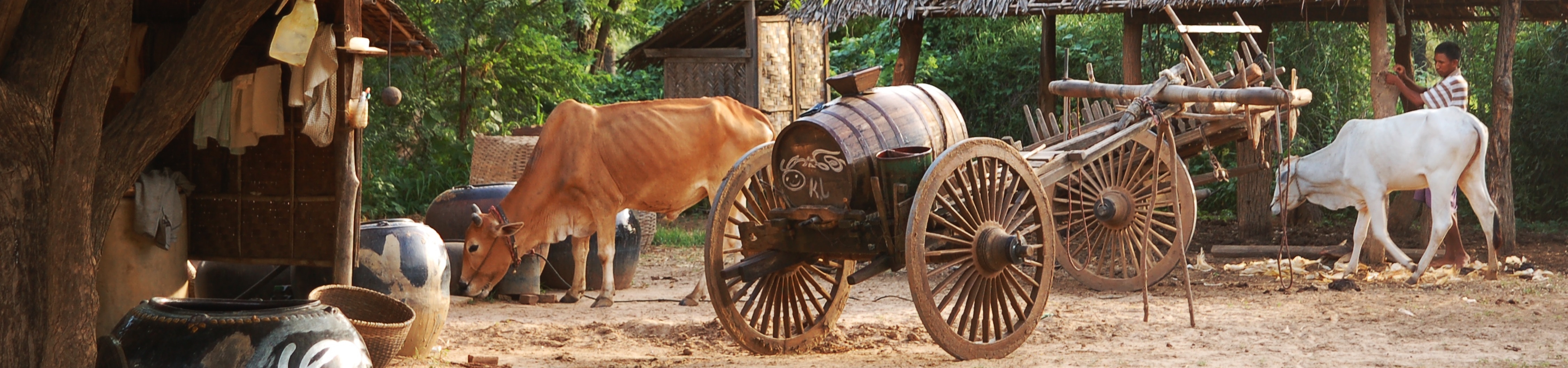 Image of Bagan Village Life and Culture Tour