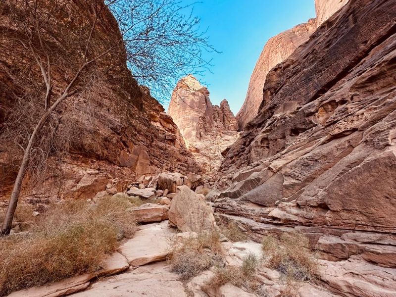 Dadan and Jabal Ikmah Premium Tour