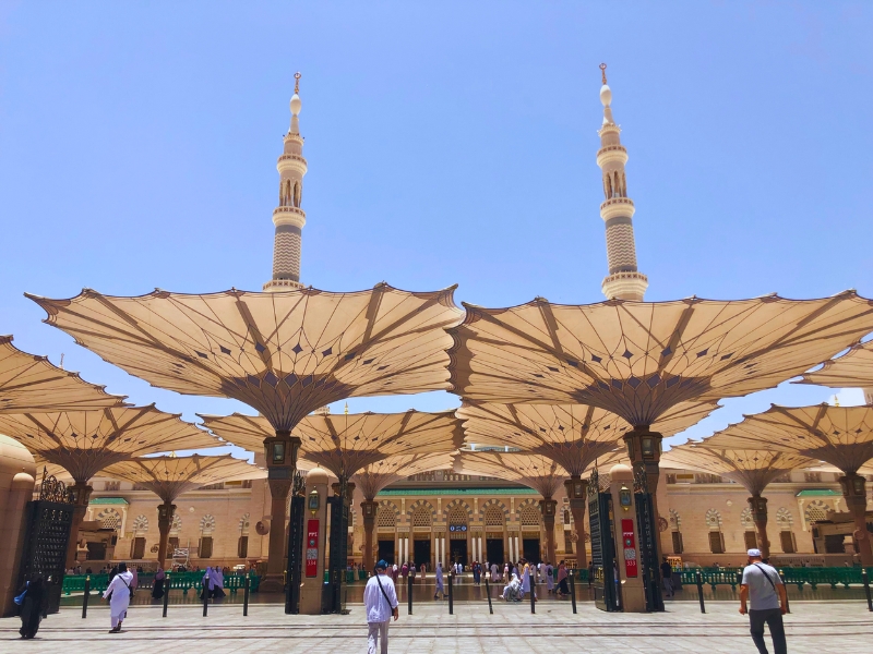 Essence of Medina