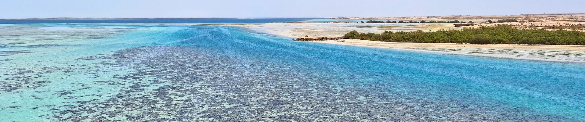 Image of Farasan Islands Discovery