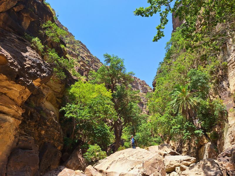 Jazan Highlands Adventure