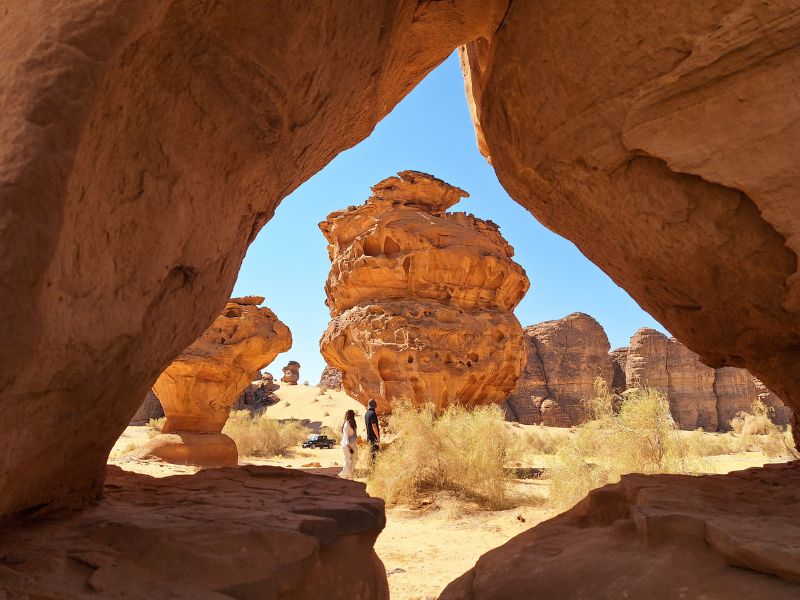 Private Sharaan Safari