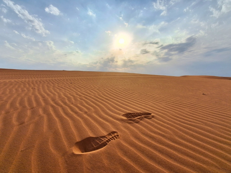 Red Sand Dunes Adventure