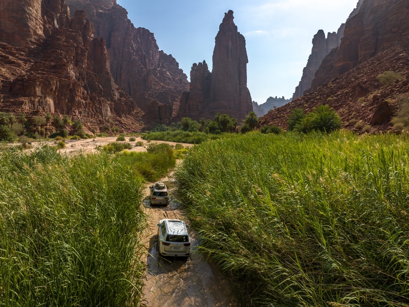 Wadi Disah Expedition