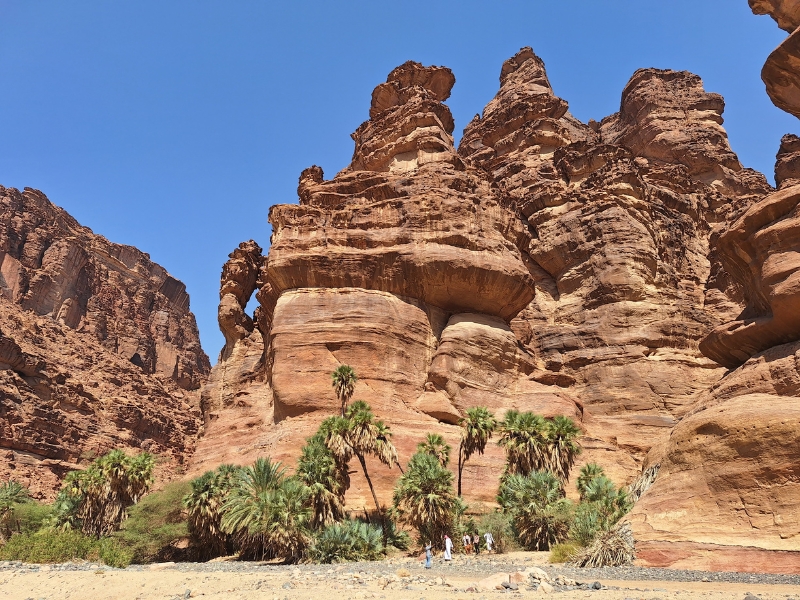 Wadi Disah Expedition