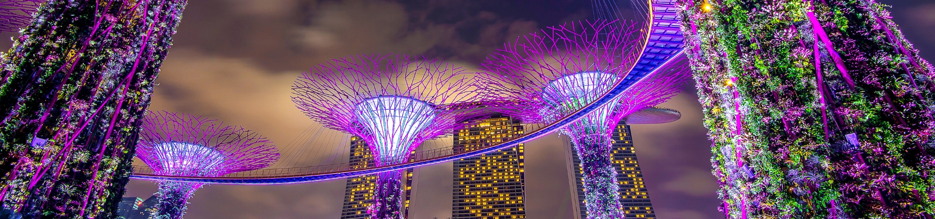 Image of Futuristic Gardens of Singapore