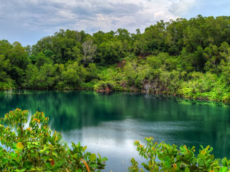 Pulau Ubin Mangrove Kayaking (Join-in)