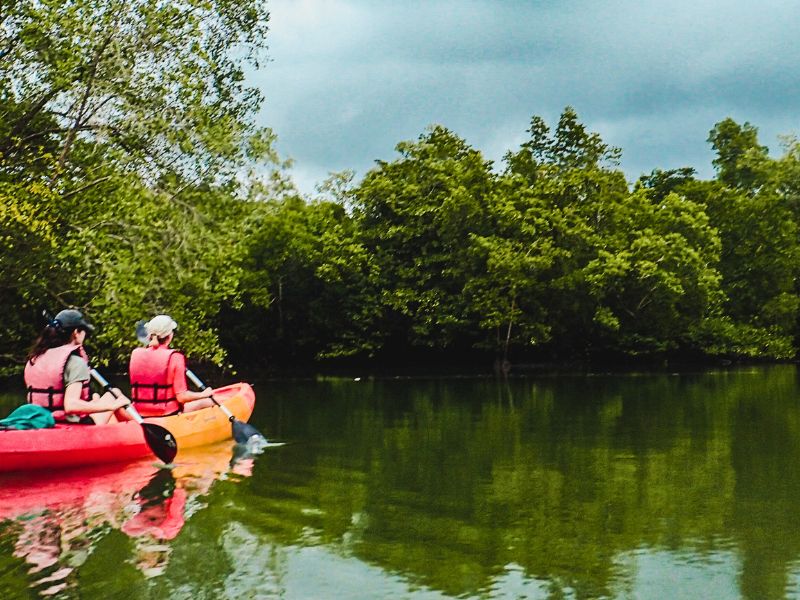 Pulau Ubin Mangrove Kayaking (Join-in)