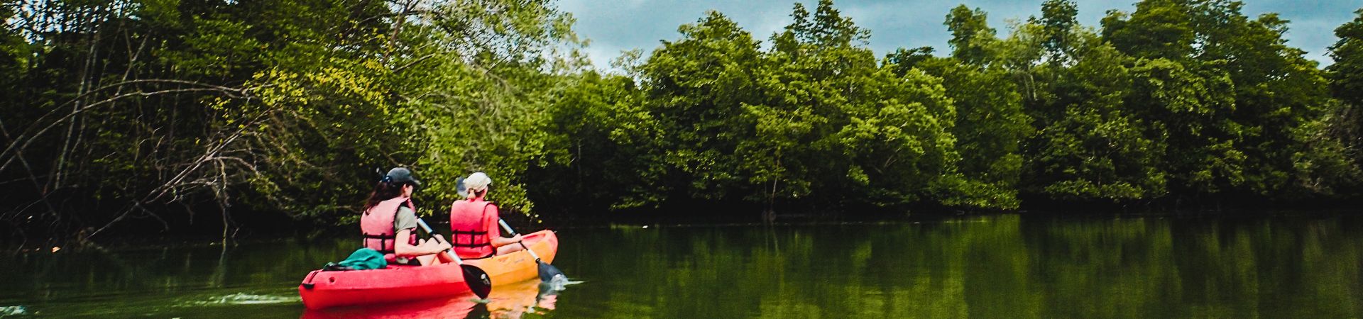 Image of Pulau Ubin Mangrove Kayaking (Join-in)