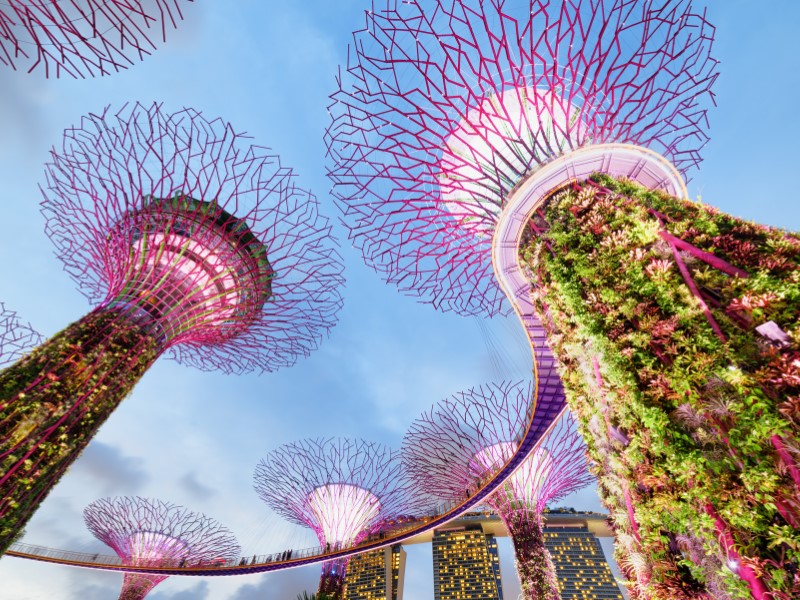 Reimagine Nature at Gardens by The Bay
