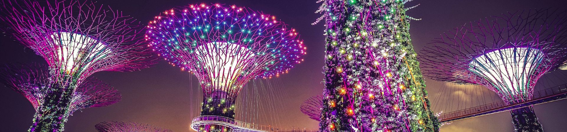 Image of Reimagine Nature at Gardens by The Bay