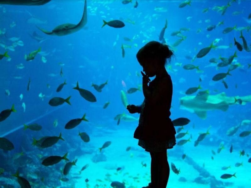 Sentosa Island Morning Tour