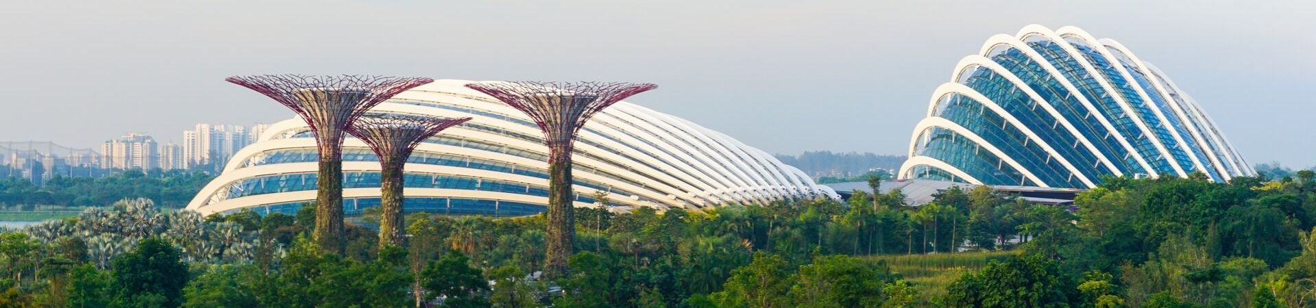 Image of Sightseeing Singapore