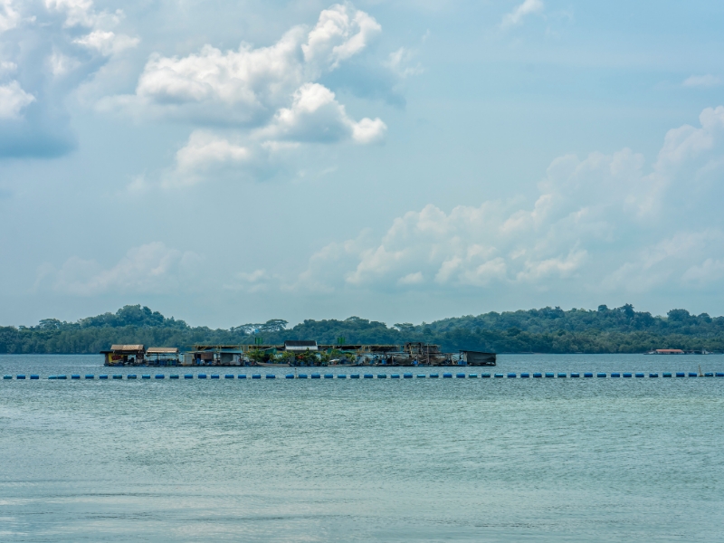 Singapore Boat Adventure