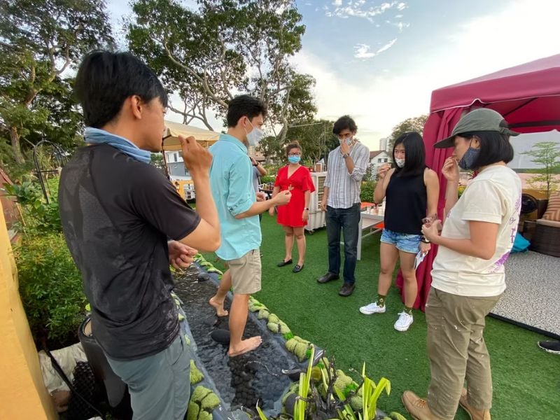 Singapore Rooftop Farm Experience