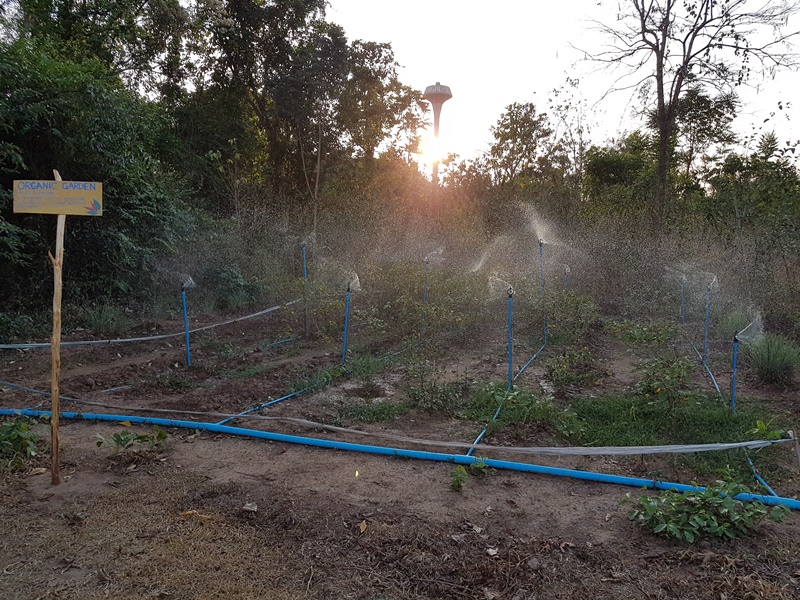 A Day in The Jungle (start from Bangkok)