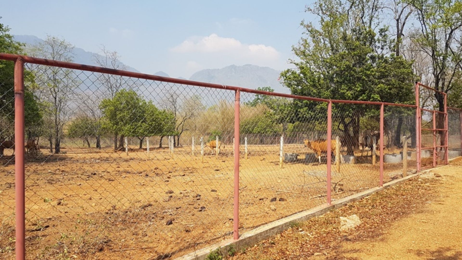 A Day in The Jungle (start from Bangkok)