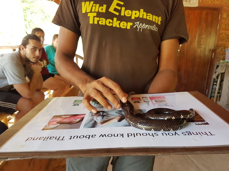 A Day in The Jungle (start from Bangkok)