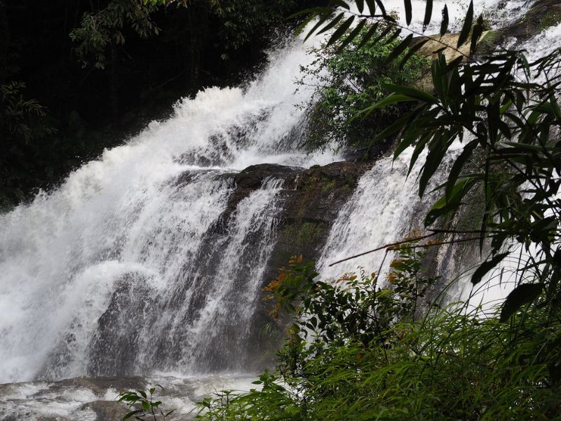 A Taste of Nature and Culture in Doi Inthanon