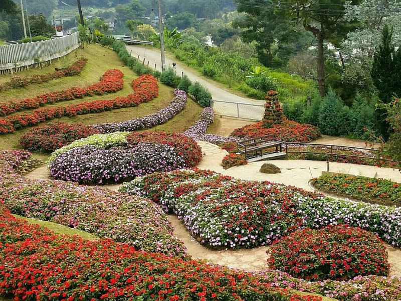 A Taste of Nature and Culture in Doi Inthanon