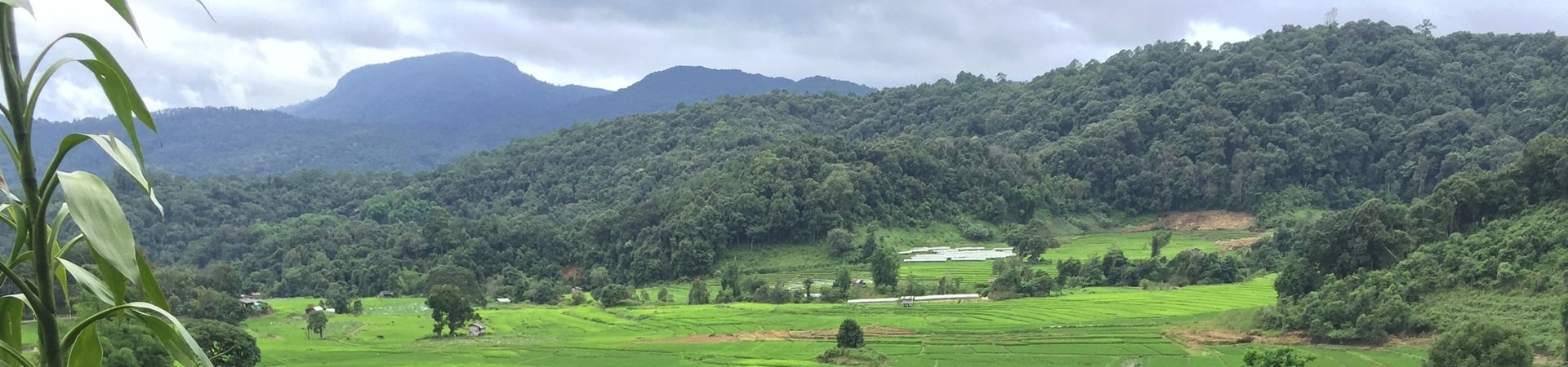 Image of A Taste of Nature and Culture in Doi Inthanon