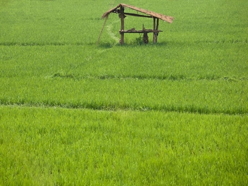 A Touch of Krabi Culture