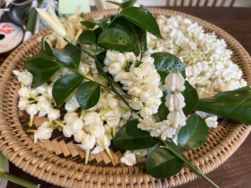 Afternoon Cultural Break A Villa Getaway