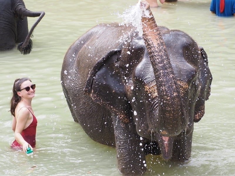 Aonang Elephant Educational Experience