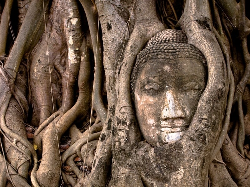 Ayutthaya Classic Return by Boat (Iconic)