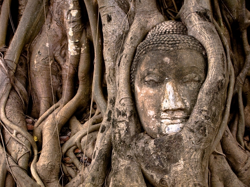 Ayutthaya Insight by Train (Public Transport)