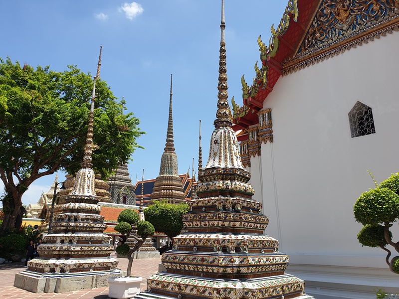 Bangkok City Safari - Eco Friendly