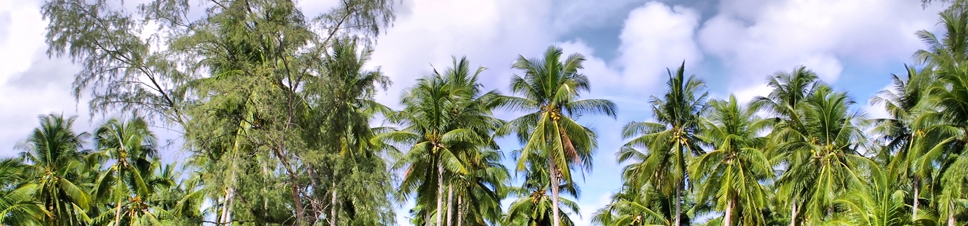 Image of Boat Trip - 4 Island Incl.Trsf