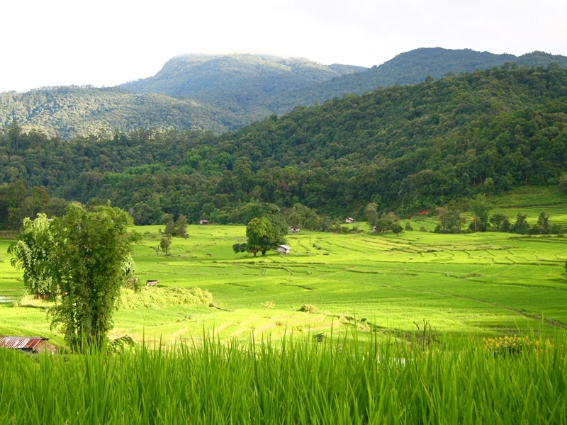 Chiang Mai Beautiful Countryside Tour