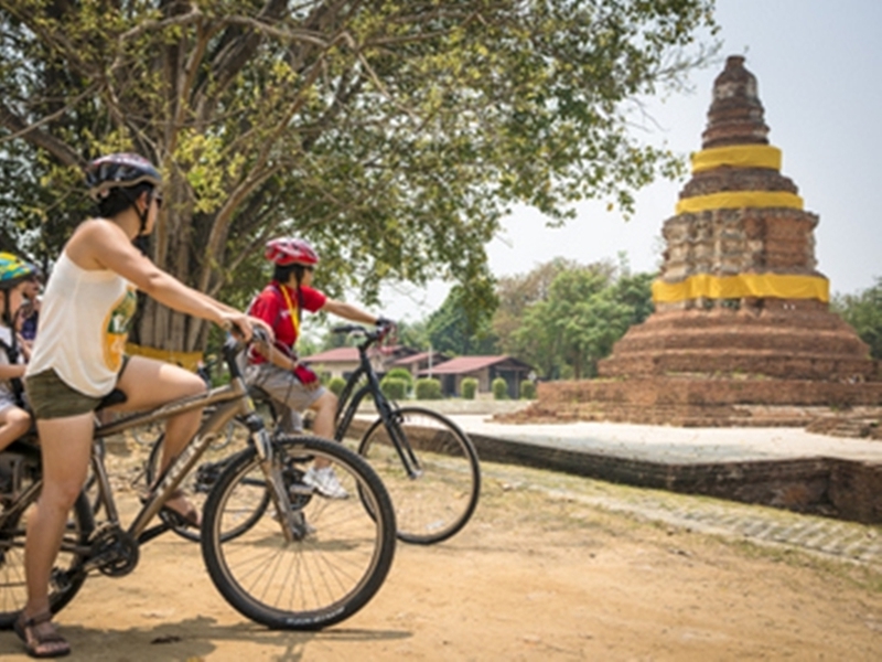 Chiang Mai City Safari