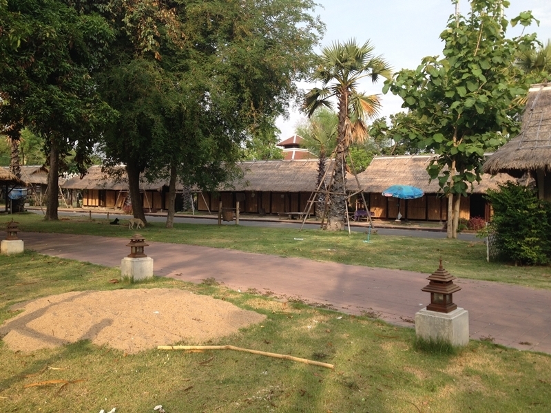 Chiang Mai City Safari