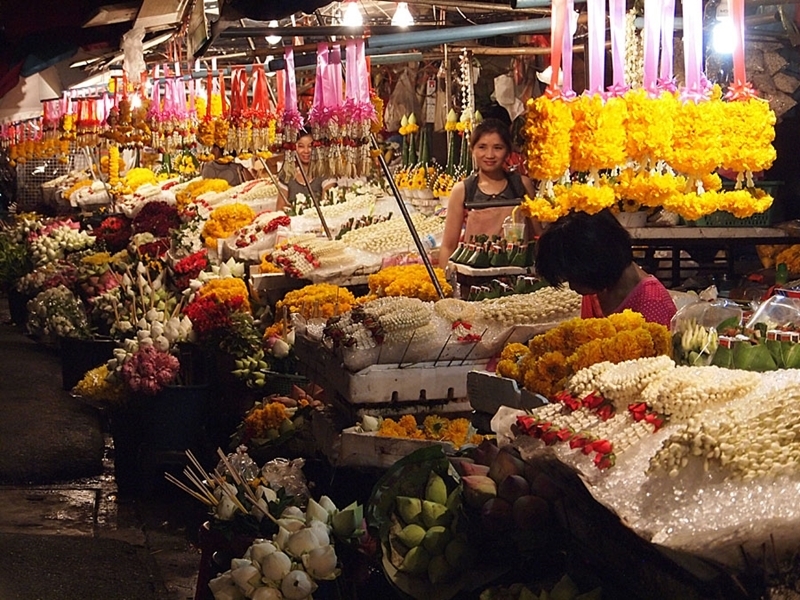 Chiang Mai Night Discovery