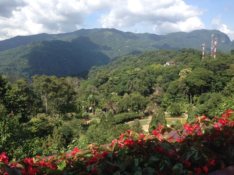 Doi Tung and The Golden Triangle (Pick up in City)