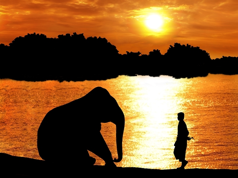 Elephant Haven (Start From BKK)